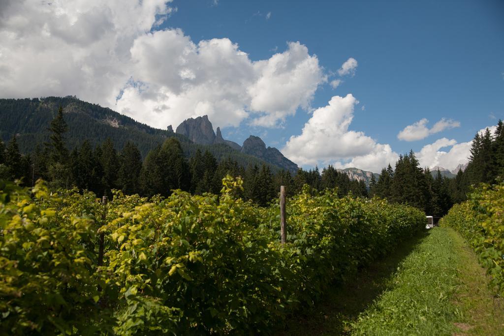 Agriturismo Soreie - Farmstay Vigo di Fassa Buitenkant foto
