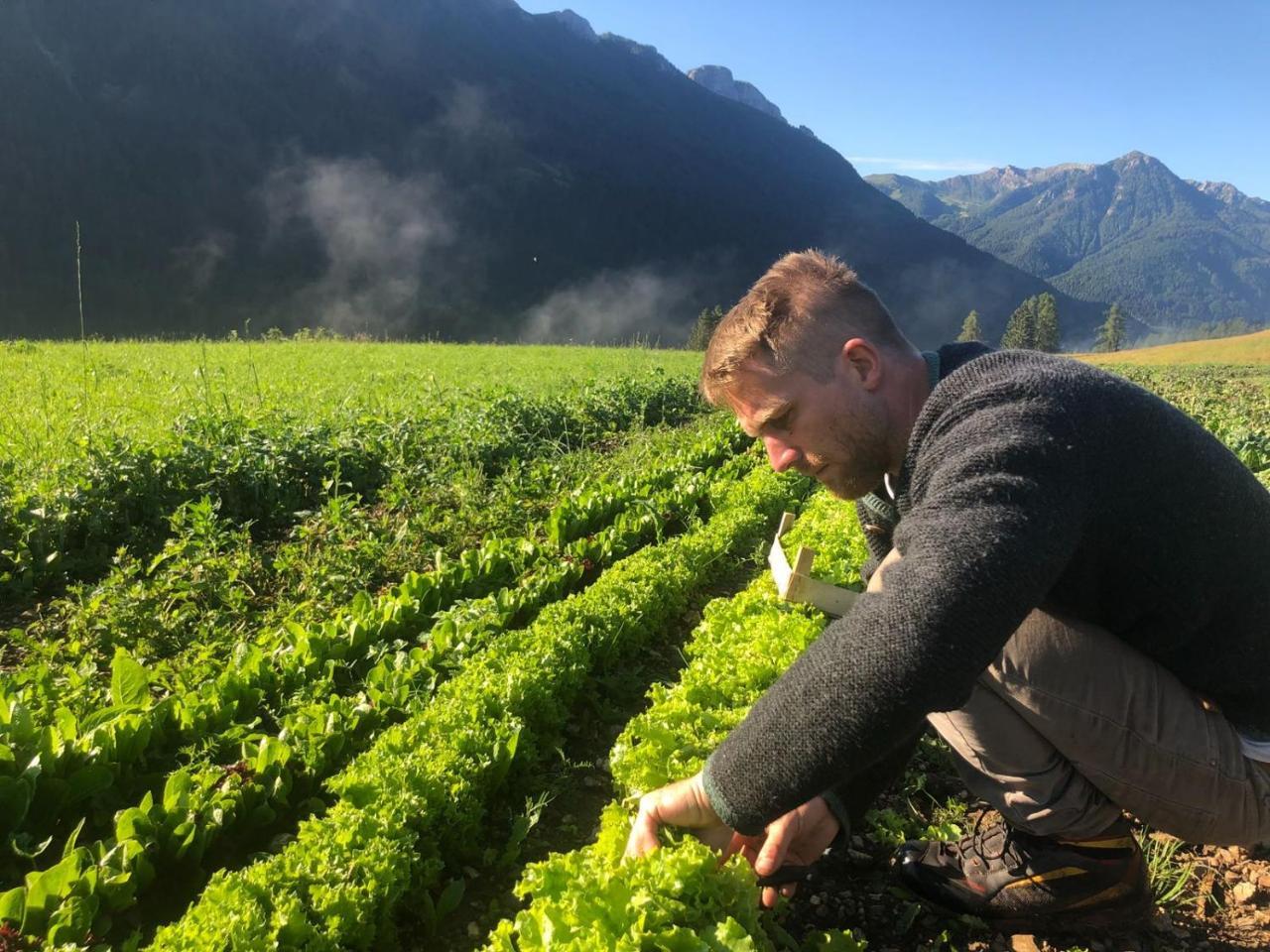 Agriturismo Soreie - Farmstay Vigo di Fassa Buitenkant foto